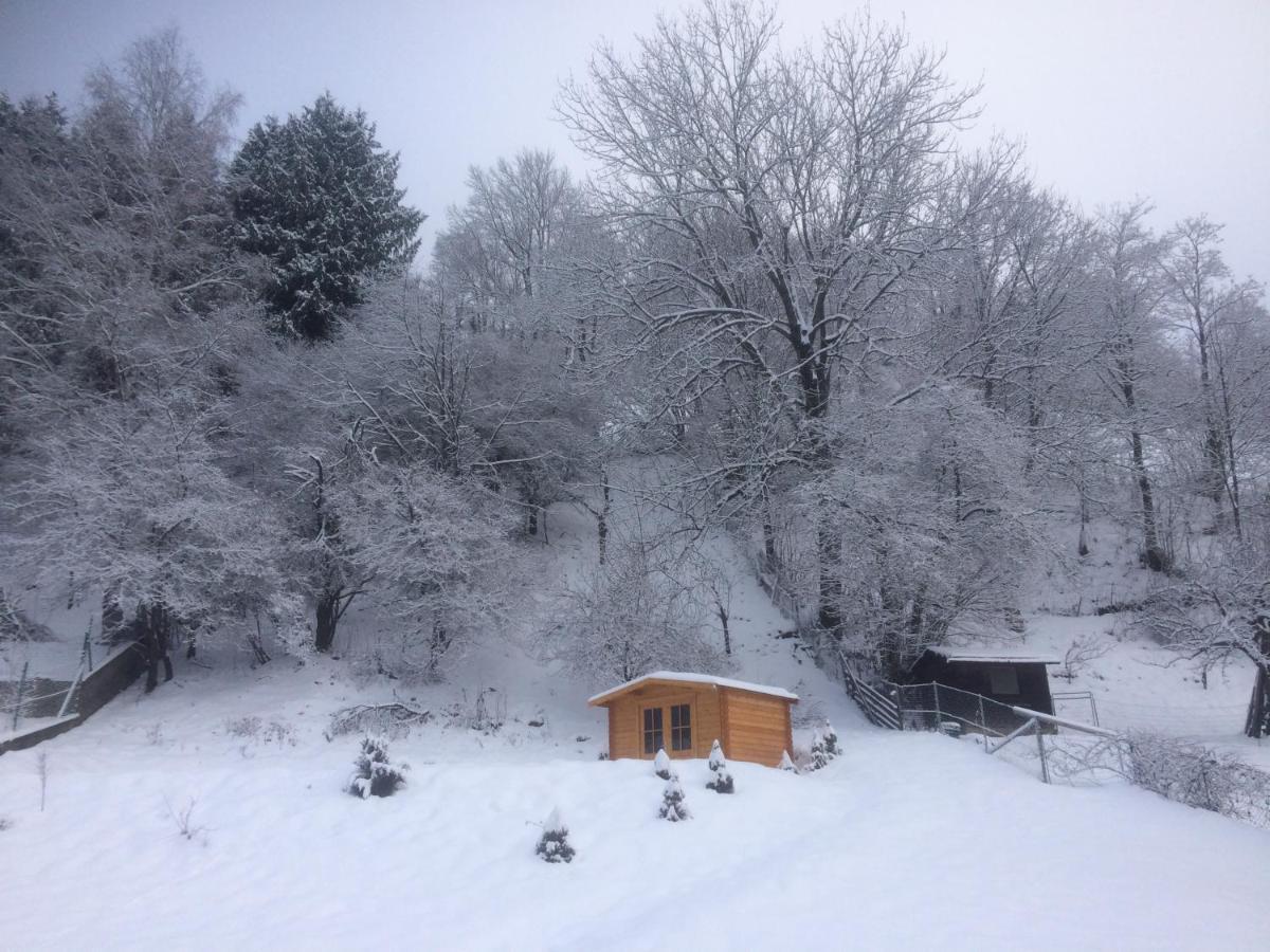 Villa Haus Georgi Sankt Lorenzen ob Murau Exterior foto